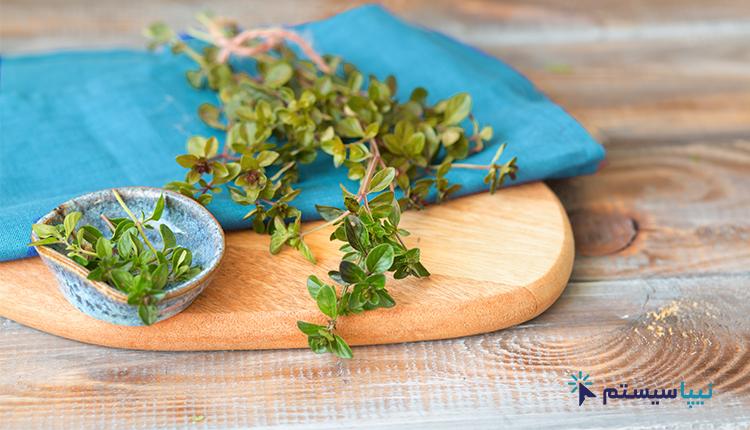 طراحی سایت فروشگاهی گیاهان دارویی